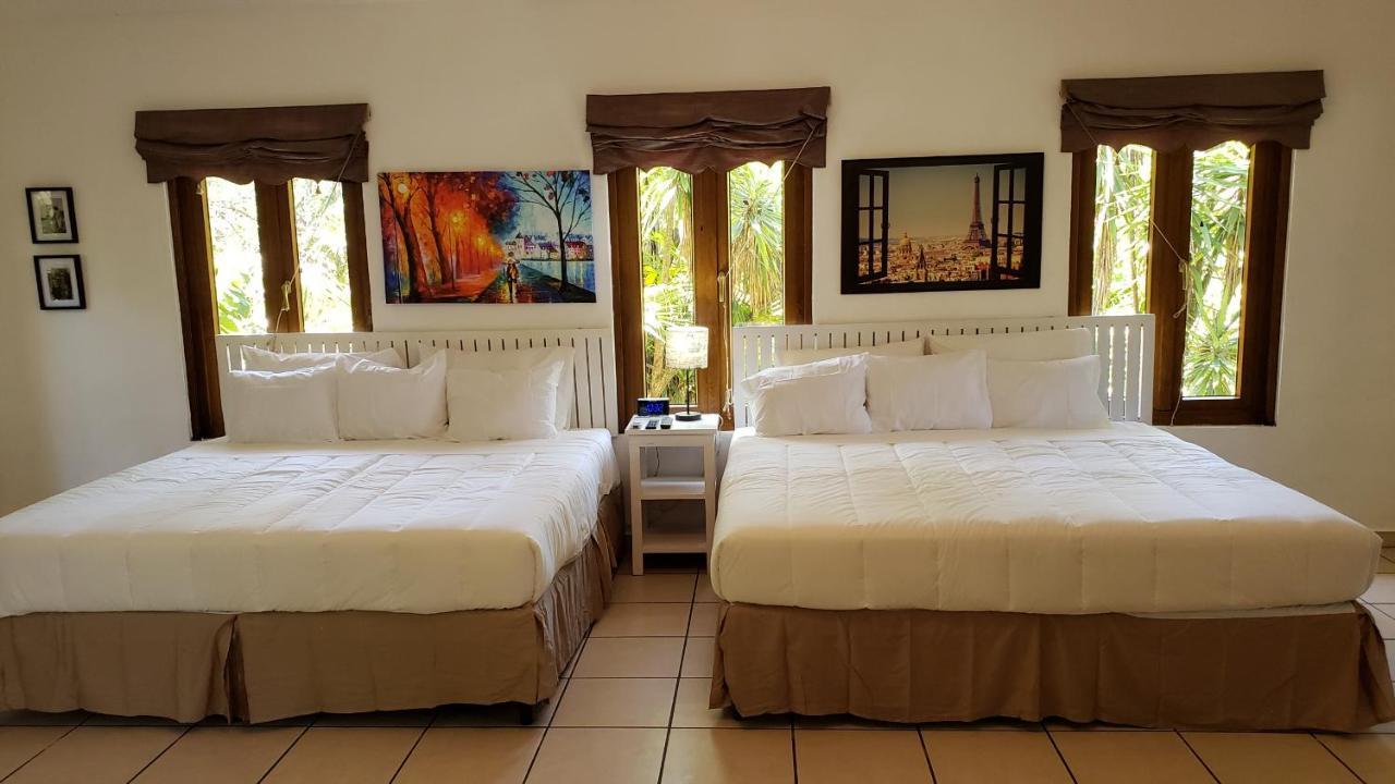 Domus Hotel Σαν Σαλβαντόρ Εξωτερικό φωτογραφία