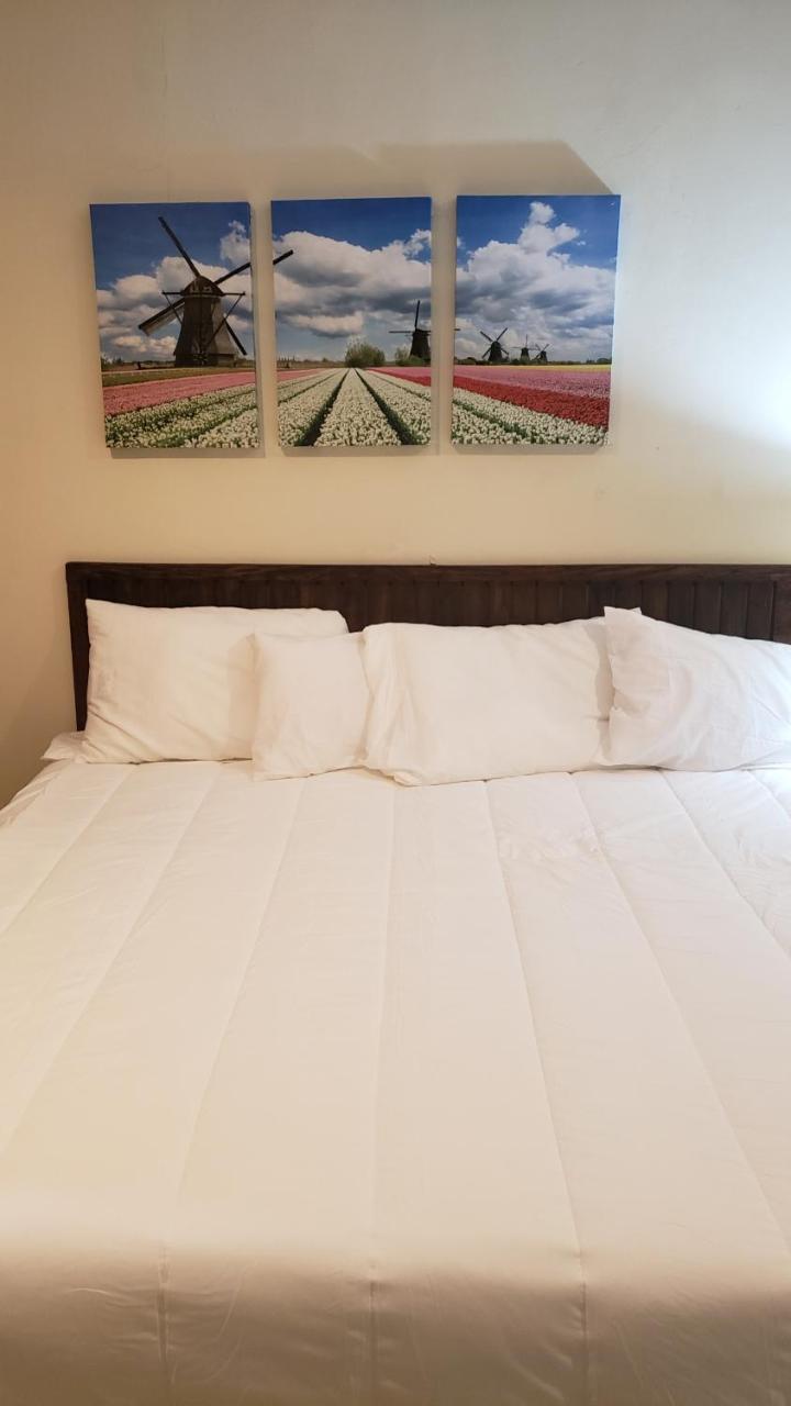 Domus Hotel Σαν Σαλβαντόρ Εξωτερικό φωτογραφία